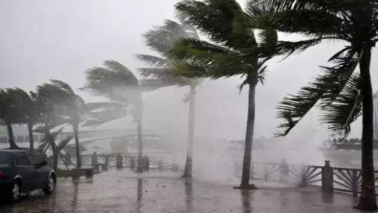 8月臺(tái)風(fēng)雨即將來(lái)，除濕機(jī)還得用起來(lái)