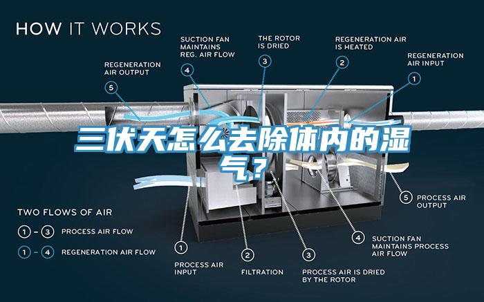 三伏天怎么去除體內(nèi)的濕氣？