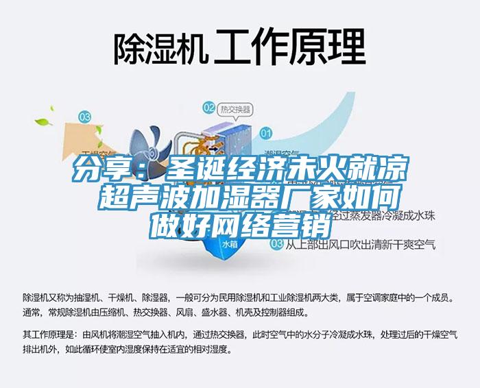 分享：圣誕經(jīng)濟(jì)未火就涼 超聲波加濕器廠家如何做好網(wǎng)絡(luò)營銷