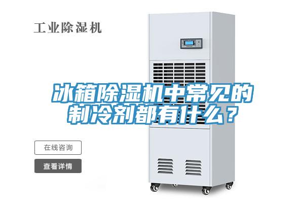 冰箱除濕機中常見的制冷劑都有什么？