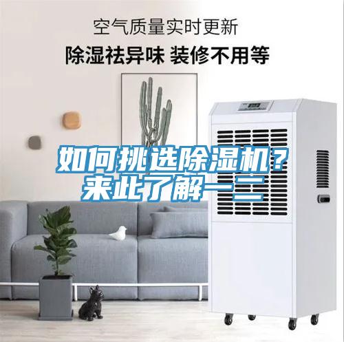 如何挑選除濕機？來此了解一二