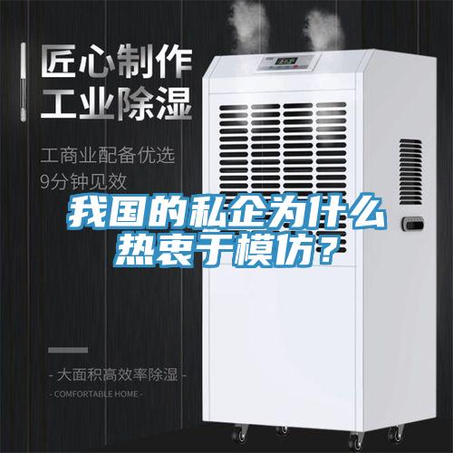 我國的私企為什么熱衷于模仿？