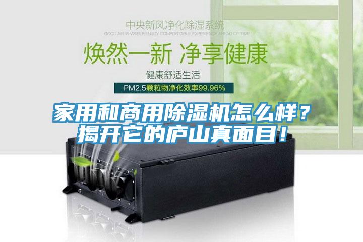 家用和商用除濕機怎么樣？揭開它的廬山真面目！