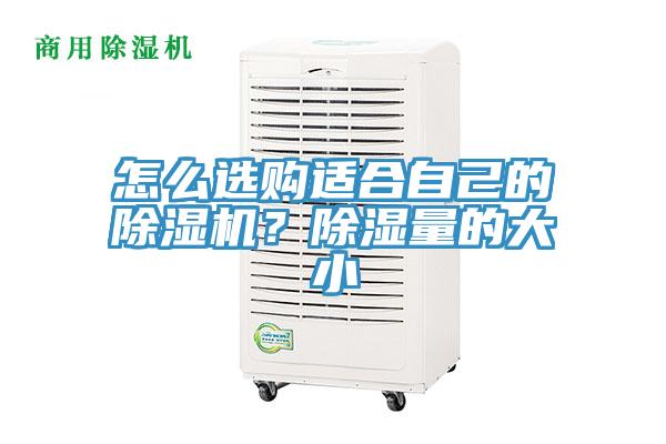 怎么選購適合自己的除濕機？除濕量的大小