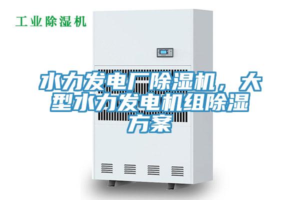 水力發(fā)電廠除濕機(jī)，大型水力發(fā)電機(jī)組除濕方案