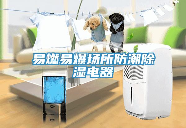 易燃易爆場所防潮除濕電器