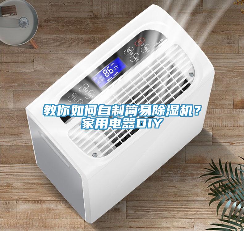 教你如何自制簡易除濕機(jī)？家用電器DIY