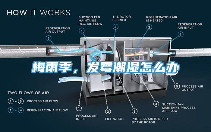 梅雨季，發(fā)霉潮濕怎么辦