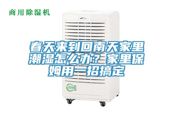 春天來到回南天家里潮濕怎么辦？家里保姆用一招搞定