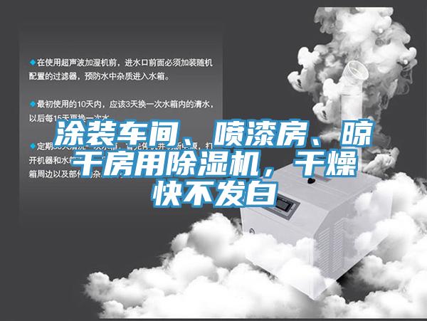 涂裝車間、噴漆房、晾干房用除濕機(jī)，干燥快不發(fā)白