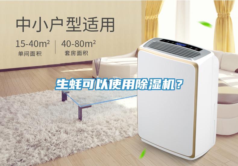 生蠔可以使用除濕機(jī)？