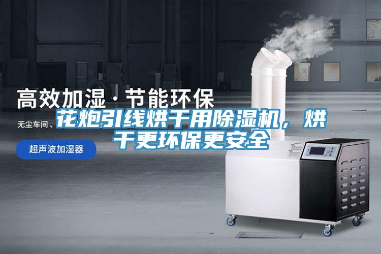花炮引線烘干用除濕機，烘干更環(huán)保更安全
