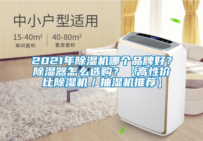 2021年除濕機(jī)哪個(gè)品牌好？除濕器怎么選購？【高性價(jià)比除濕機(jī)／抽濕機(jī)推薦】