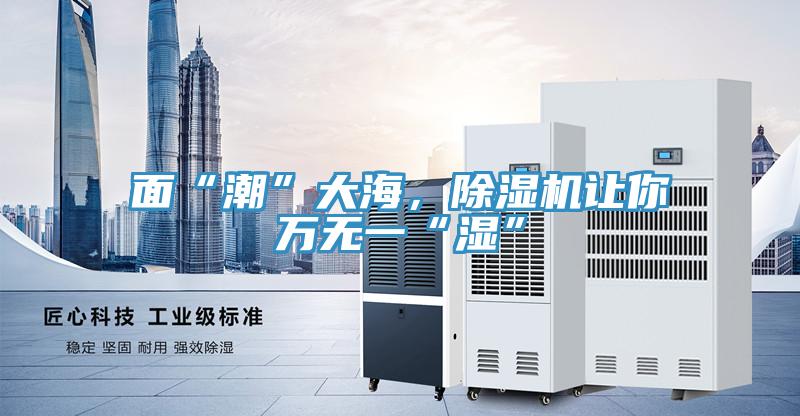 面“潮”大海，除濕機(jī)讓你萬無一“濕”