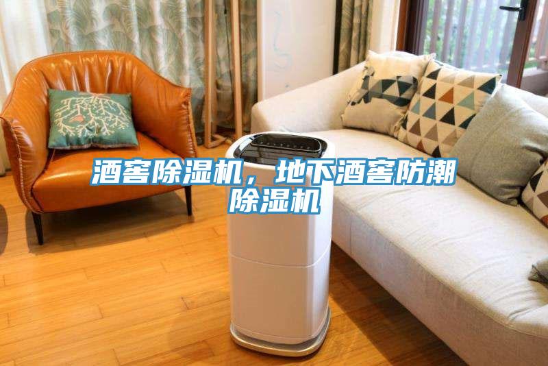 酒窖除濕機，地下酒窖防潮除濕機