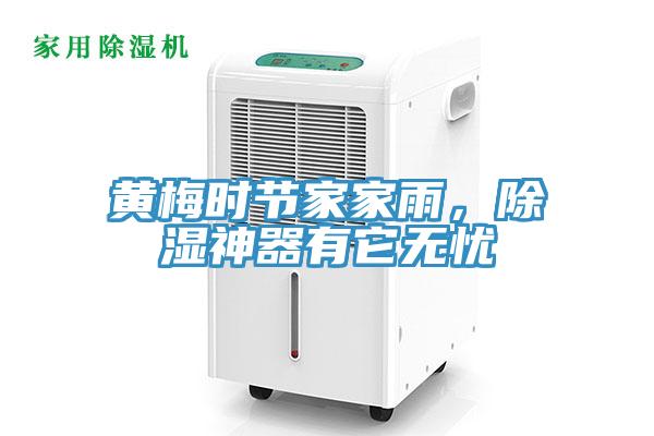 黃梅時(shí)節(jié)家家雨，除濕神器有它無憂