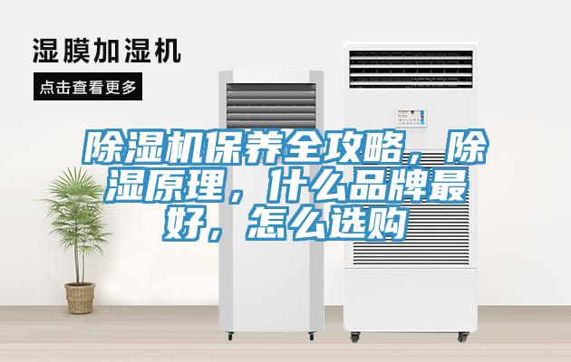 除濕機保養(yǎng)全攻略，除濕原理，什么品牌最好，怎么選購