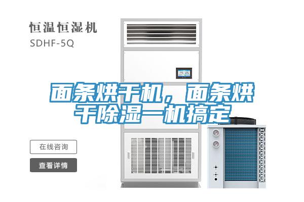 面條烘干機(jī)，面條烘干除濕一機(jī)搞定
