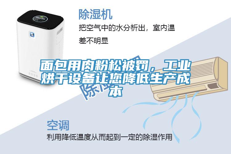 面包用肉粉松被罰，工業(yè)烘干設(shè)備讓您降低生產(chǎn)成本