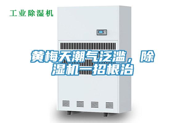 黃梅天潮氣泛濫，除濕機(jī)一招根治