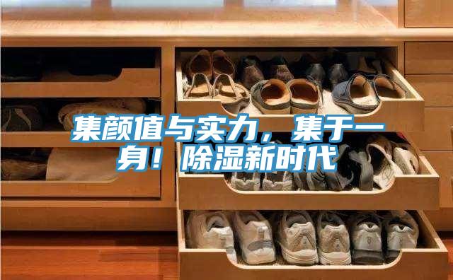 集顏值與實(shí)力，集于一身！除濕新時(shí)代