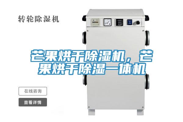 芒果烘干除濕機，芒果烘干除濕一體機