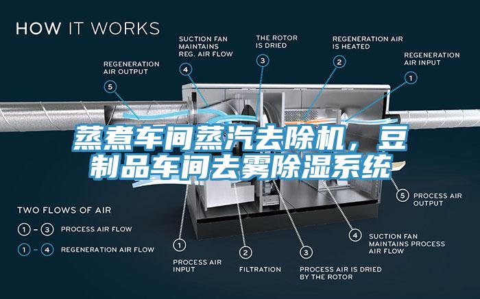 蒸煮車間蒸汽去除機，豆制品車間去霧除濕系統(tǒng)