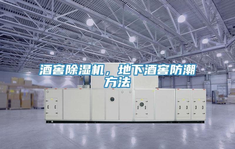 酒窖除濕機，地下酒窖防潮方法
