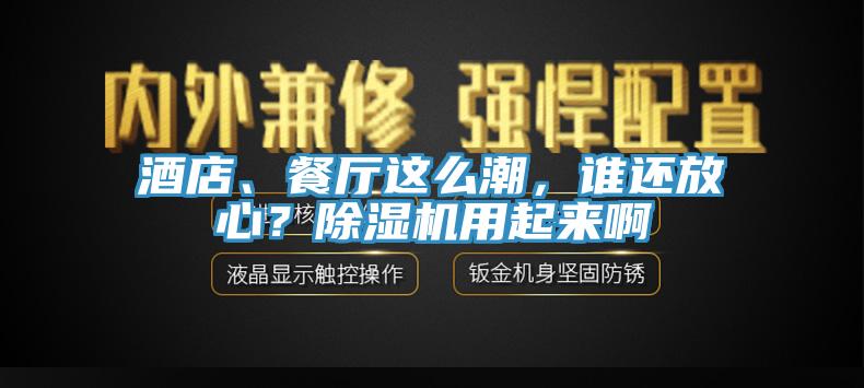 酒店、餐廳這么潮，誰還放心？除濕機(jī)用起來啊