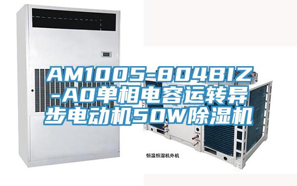 AM1005-804BIZ-A0單相電容運轉(zhuǎn)異步電動機50W除濕機