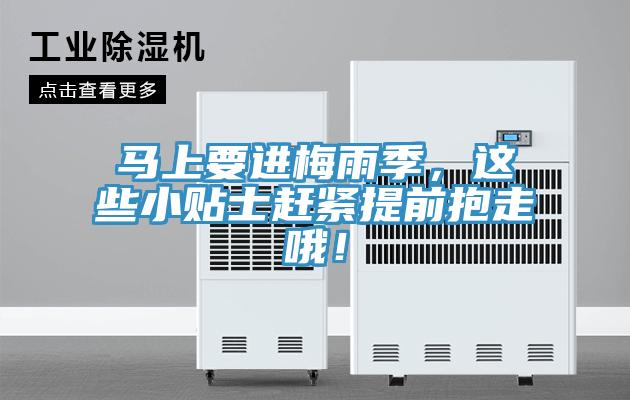 馬上要進(jìn)梅雨季，這些小貼士趕緊提前抱走哦！