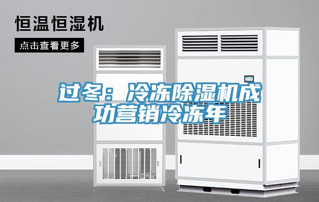 過冬：冷凍除濕機(jī)成功營(yíng)銷冷凍年