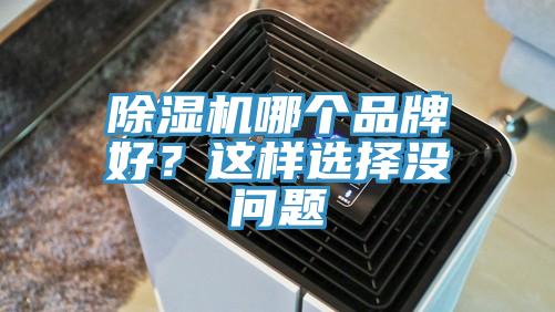 除濕機哪個品牌好？這樣選擇沒問題