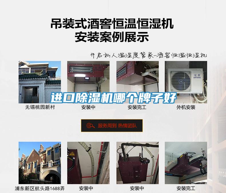 進(jìn)口除濕機哪個牌子好