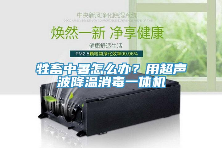 牲畜中暑怎么辦？用超聲波降溫消毒一體機(jī)