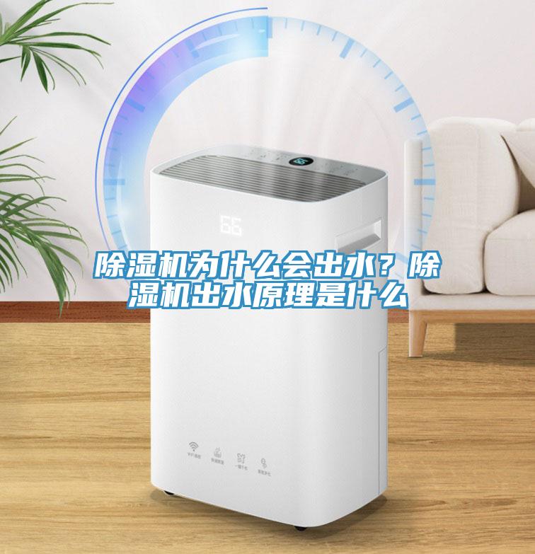 除濕機(jī)為什么會出水？除濕機(jī)出水原理是什么