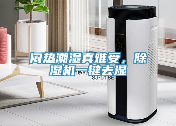 悶熱潮濕真難受，除濕機一鍵去濕
