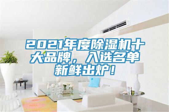 2021年度除濕機(jī)十大品牌，入選名單新鮮出爐！