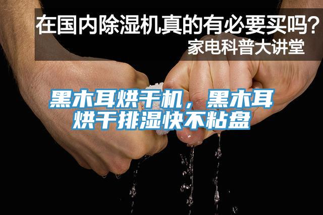黑木耳烘干機(jī)，黑木耳烘干排濕快不粘盤