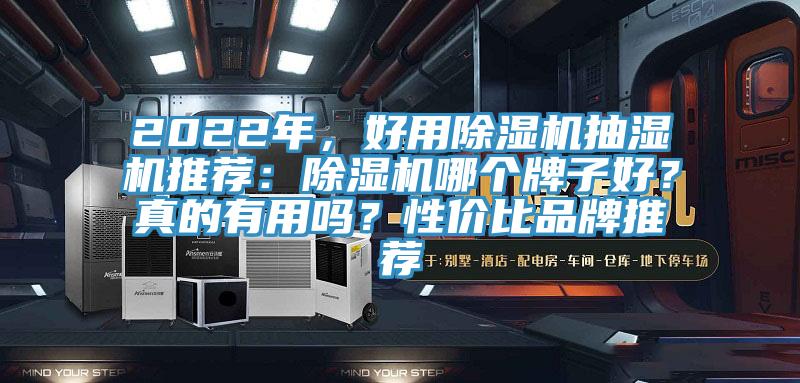 2022年，好用除濕機(jī)抽濕機(jī)推薦：除濕機(jī)哪個(gè)牌子好？真的有用嗎？性價(jià)比品牌推薦