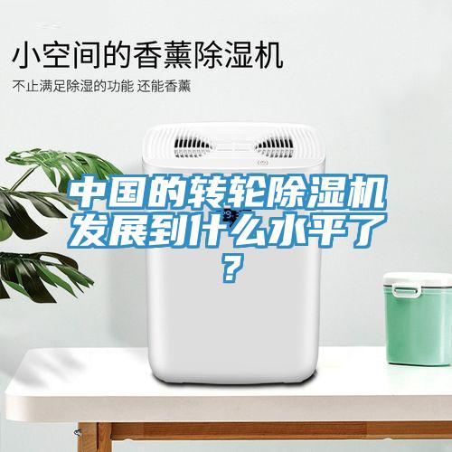 中國的轉(zhuǎn)輪除濕機發(fā)展到什么水平了？