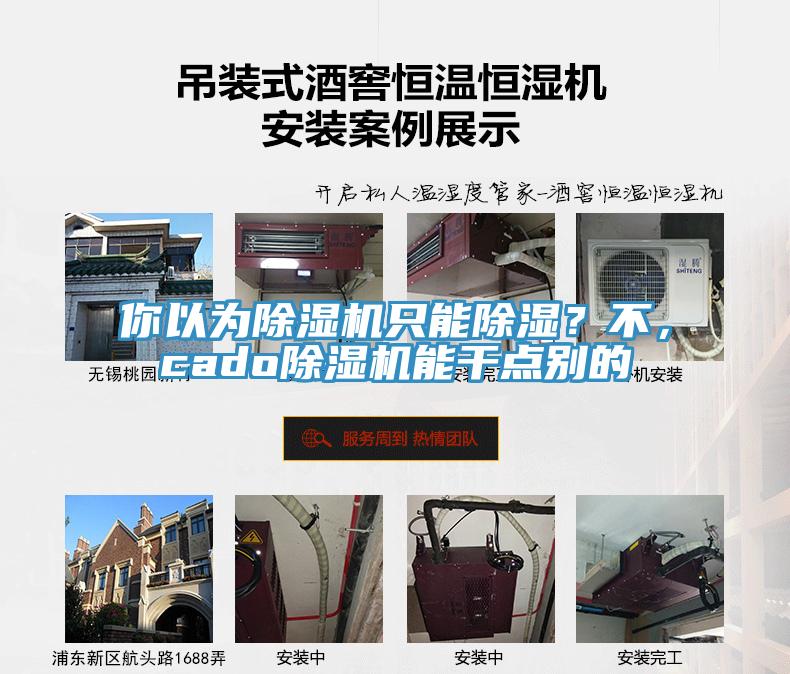 你以為除濕機(jī)只能除濕？不，cado除濕機(jī)能干點(diǎn)別的