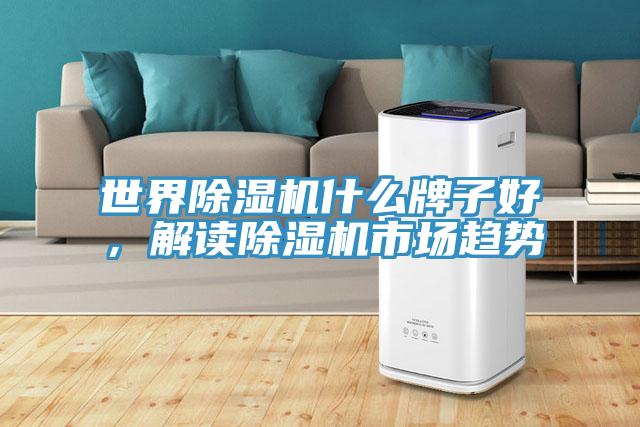 世界除濕機(jī)什么牌子好，解讀除濕機(jī)市場趨勢
