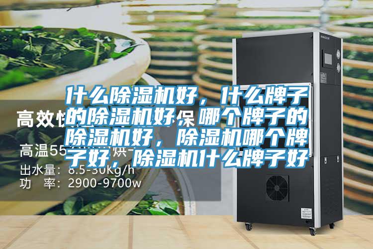 什么除濕機(jī)好，什么牌子的除濕機(jī)好，哪個(gè)牌子的除濕機(jī)好，除濕機(jī)哪個(gè)牌子好，除濕機(jī)什么牌子好