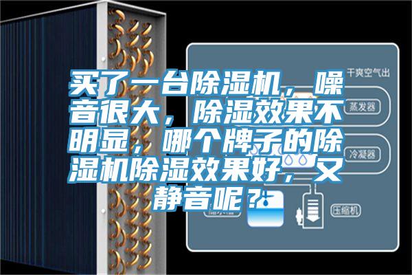 買了一臺除濕機，噪音很大，除濕效果不明顯，哪個牌子的除濕機除濕效果好，又靜音呢？