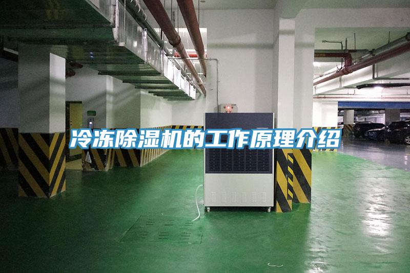 冷凍除濕機(jī)的工作原理介紹