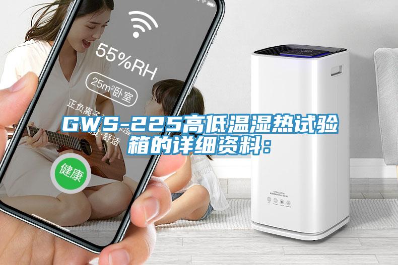 GWS-225高低溫濕熱試驗箱的詳細(xì)資料：