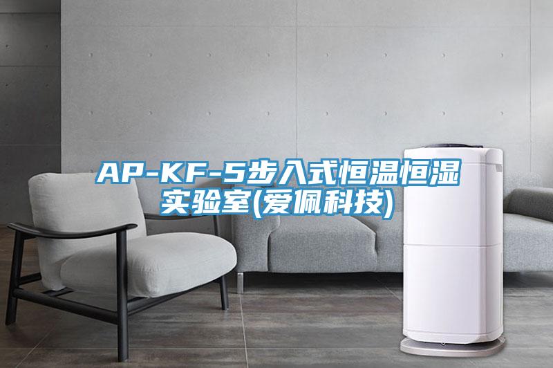 AP-KF-5步入式恒溫恒濕實驗室(愛佩科技)