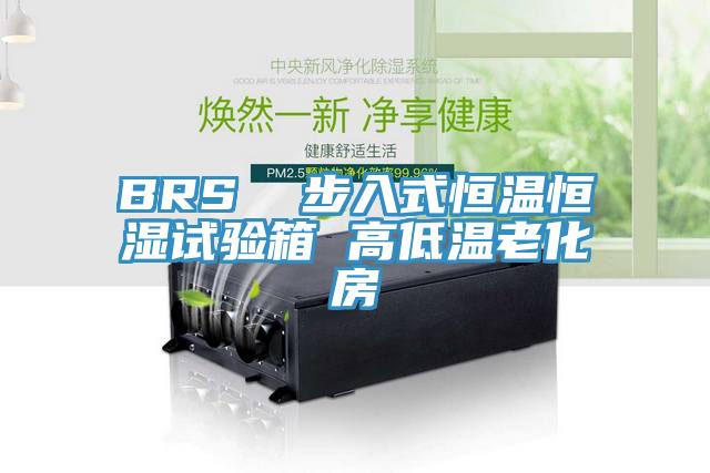 BRS  步入式恒溫恒濕試驗箱 高低溫老化房