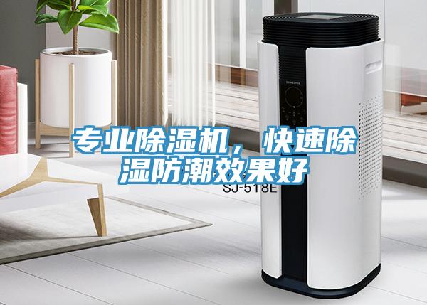 專業(yè)除濕機(jī)，快速除濕防潮效果好